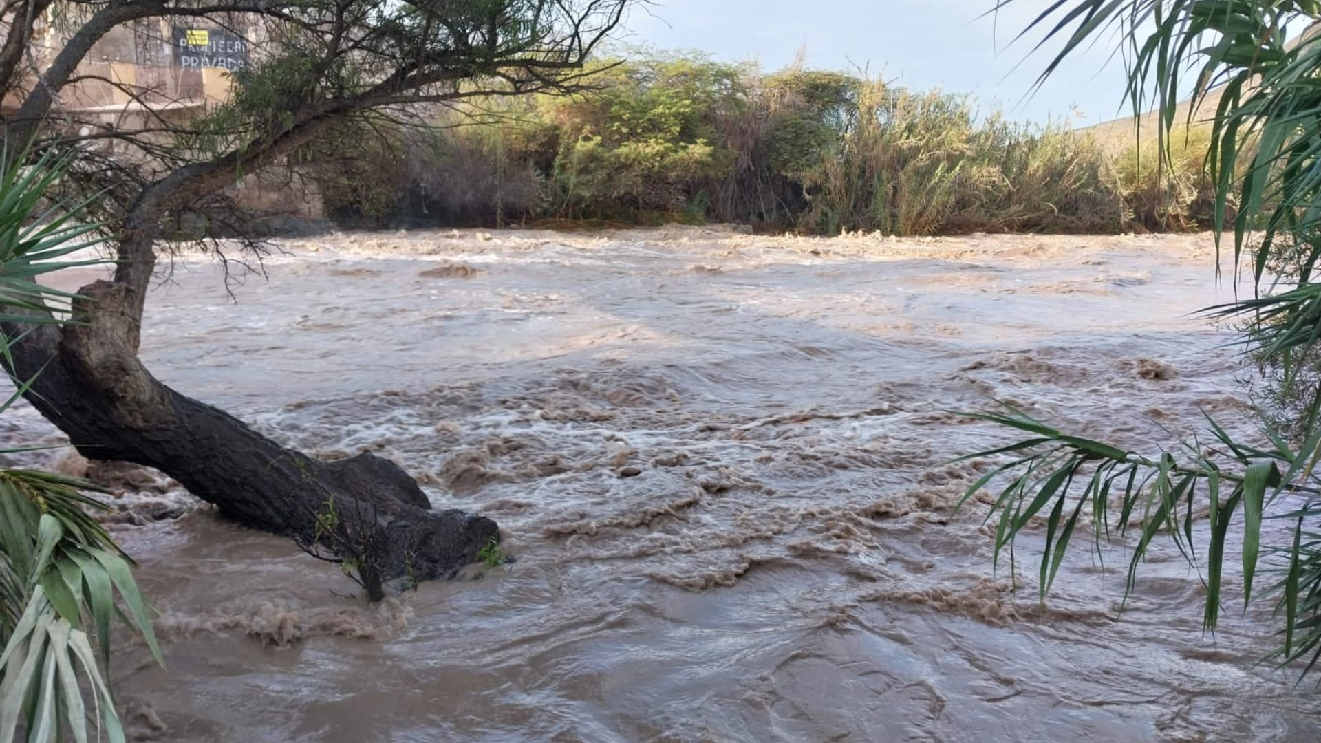 Lluvias en Perú: Indeci alerta por posible desbordes de ríos Pisco y Cañete, tras llegar al umbral rojo