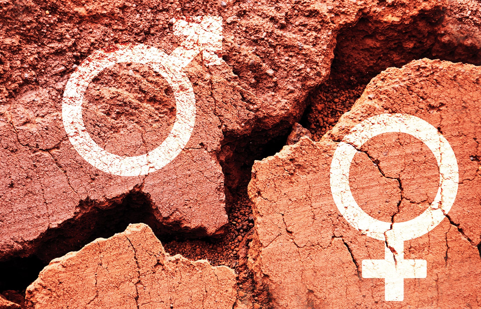 En el mes de la Mujer, solo 4 de cada 10 peruanas ocupan cargos directivos y más de 2,6 millones están fuera del mercado laboral