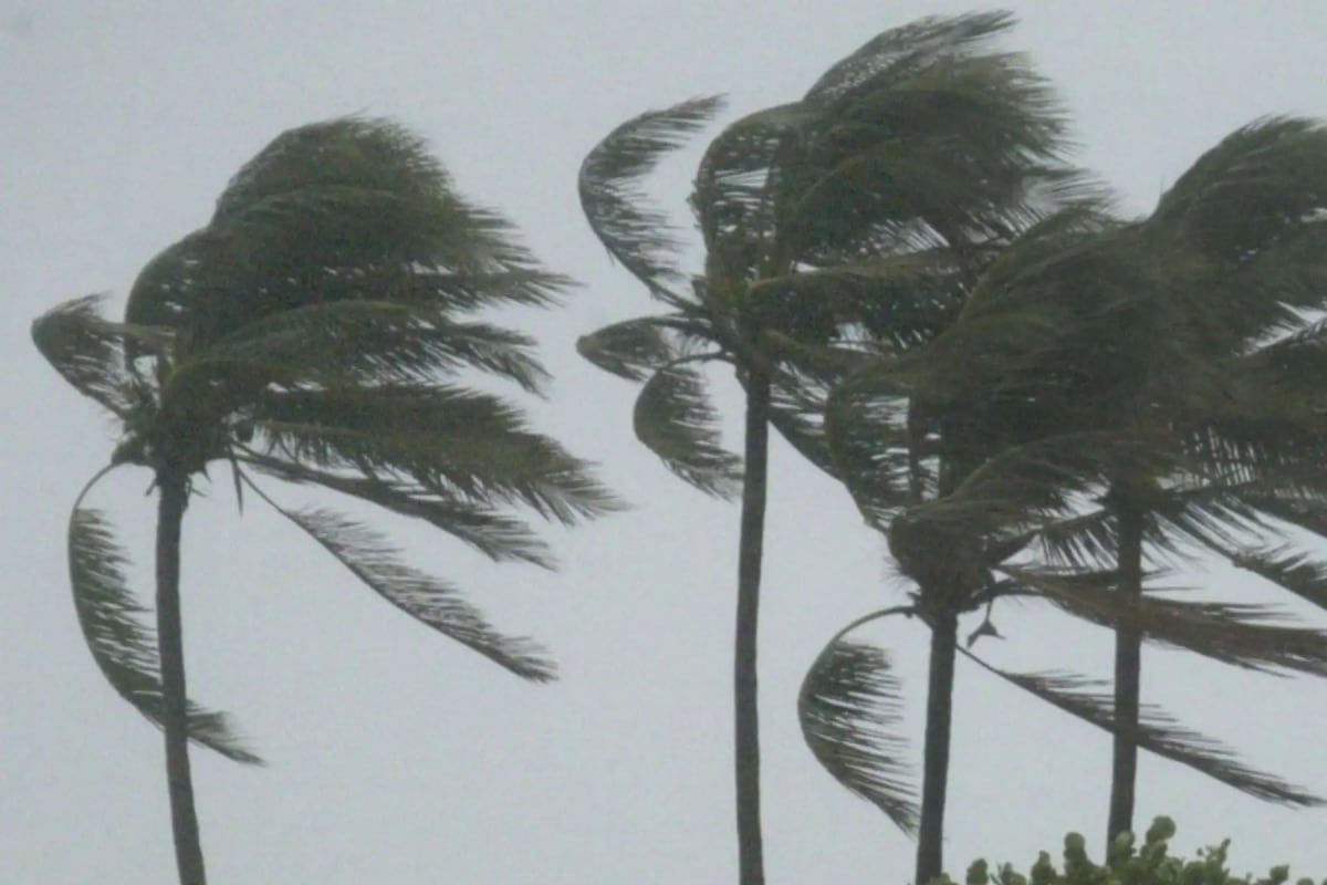 Senamhi alerta vientos de hasta 46 km/h en la costa peruana con nivel rojo hasta el 24 de marzo