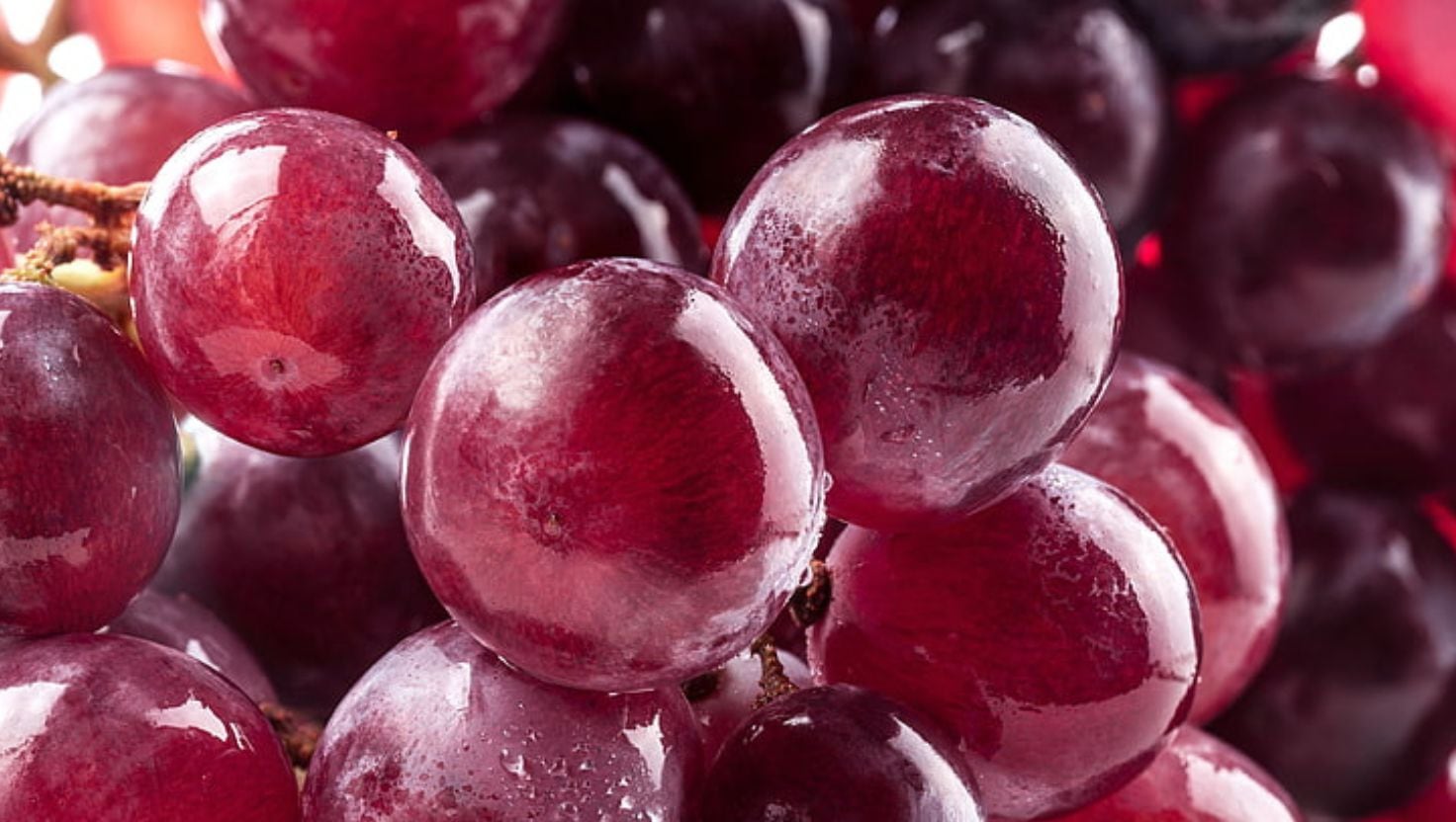 Las agroexportaciones peruanas no dejan de crecer y ahora superan los USD 3.000 millones en 2026: ¿Qué fruta se llevó la corona?