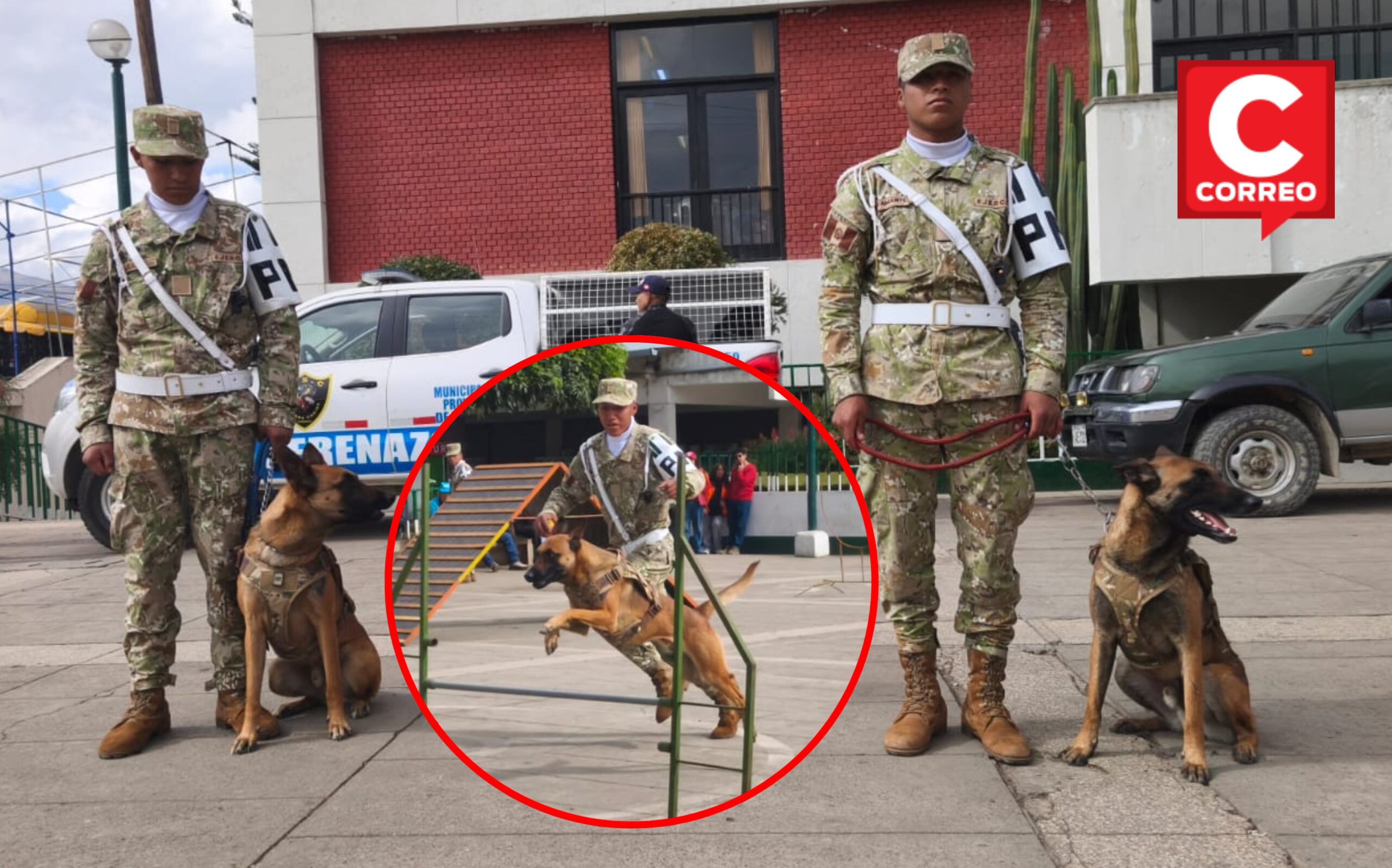 Junín: Entrenan primera brigada canina especializada en rescate y búsqueda de víctimas durante desastres (FOTOS)