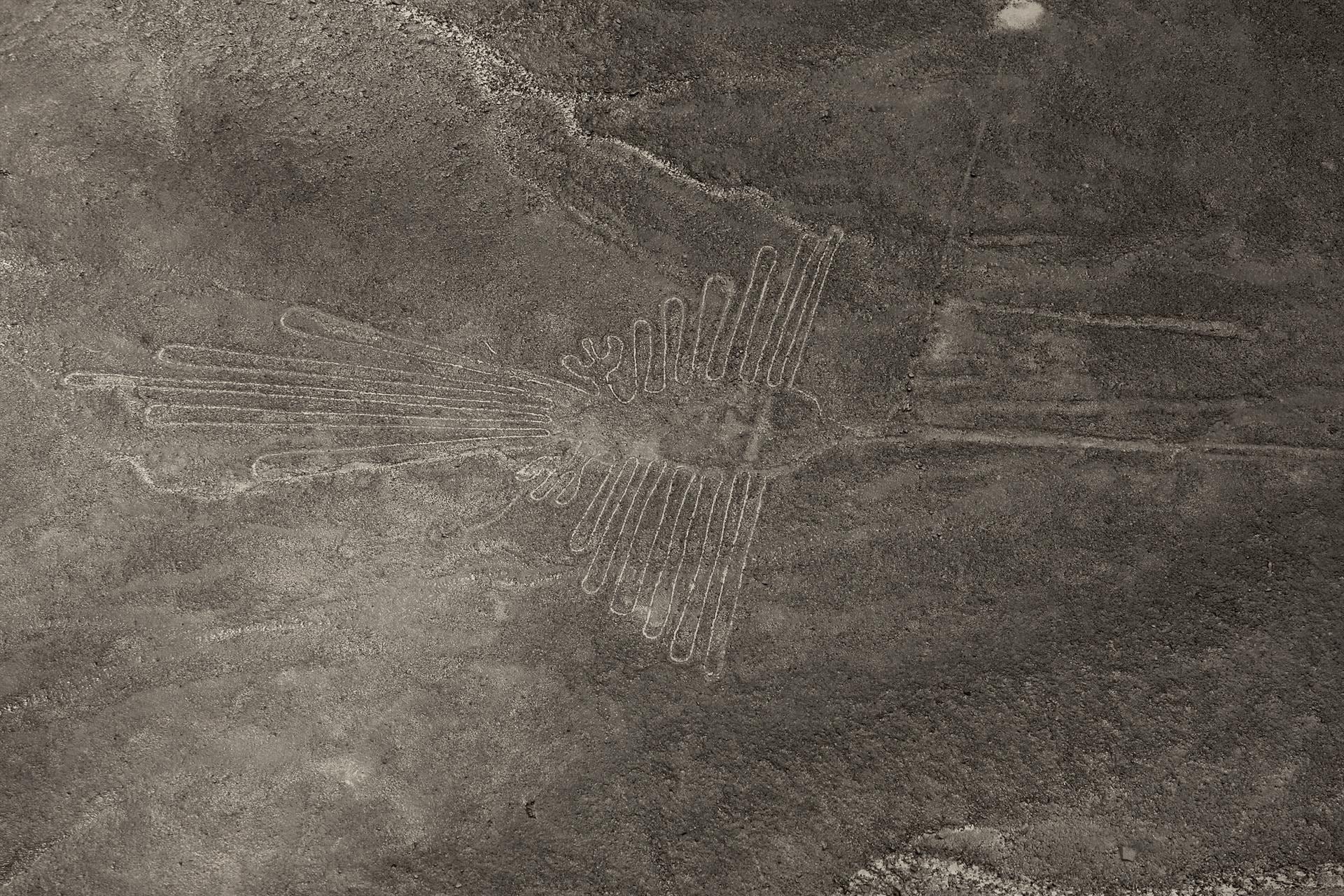 Al menos 13 muertos al estrellarse una avioneta con turistas cerca de las Líneas de Nazca (Perú)
