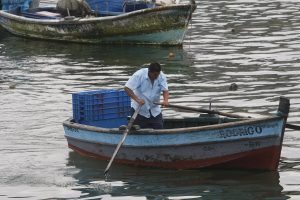 El Niño golpea la pesca en Perú y otros países: especies migran por calentamiento del océano